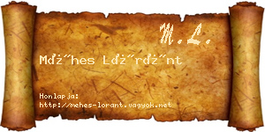 Méhes Lóránt névjegykártya